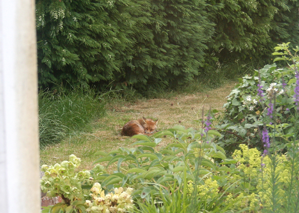 Matt Willis story shortlisted in competition