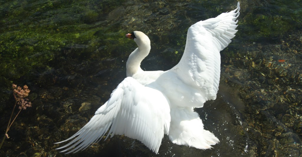 My Publishing Nightmare – the story of a book deal gone bad (Part 3)